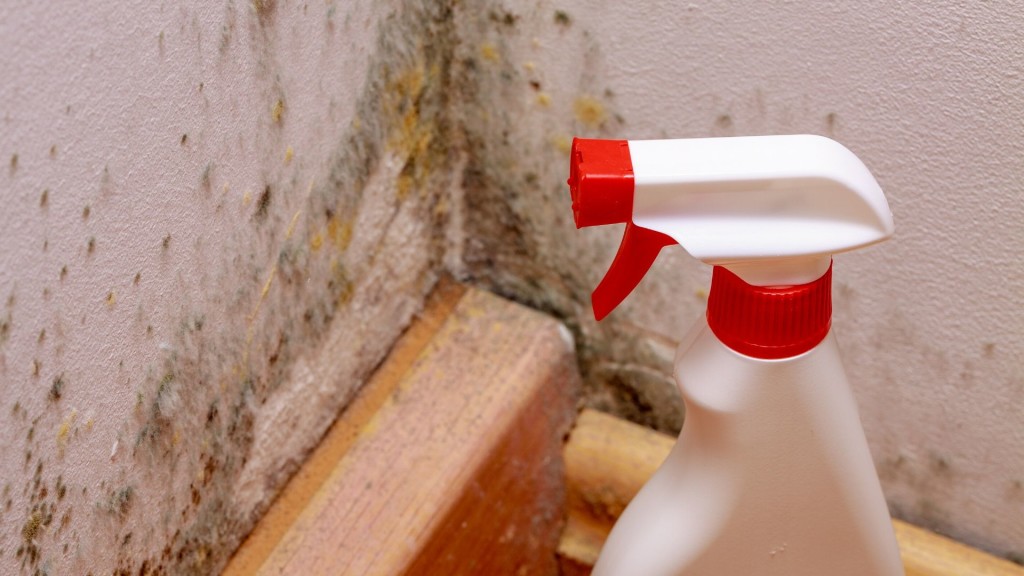 can-guttering-cause-damp-your-questions-answered