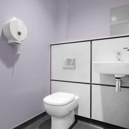 2.5mm pastel clay hygienic toilet cladding