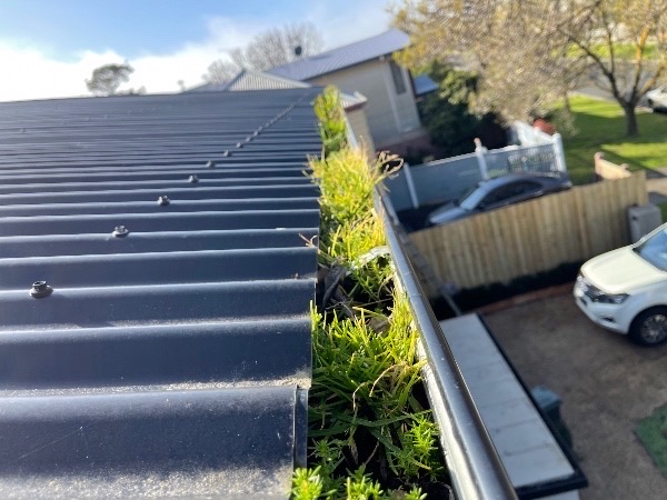 Maximising Your Roof's Lifespan with Proper Guttering Maintenance